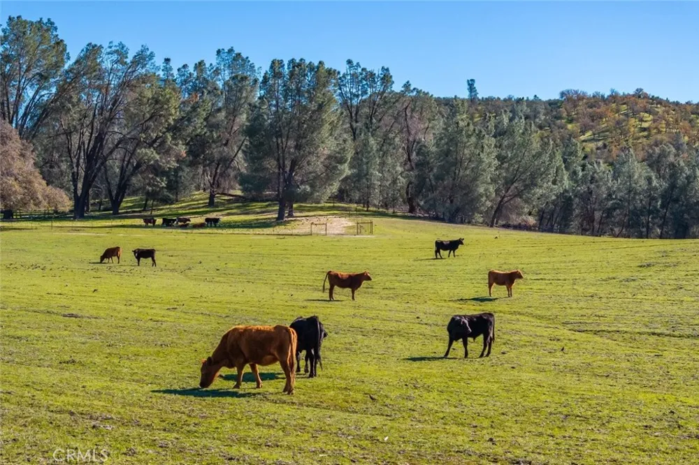 535 Calf Canyon Highway Creston, CA 93432