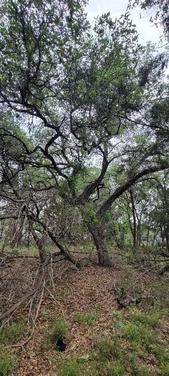 1391 Covered Wagon Spring Branch, TX 78070