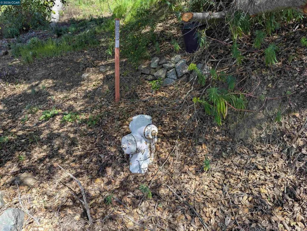 Gravatt Dr. Oakland, CA 94705