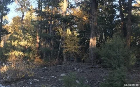 109 Deer Run