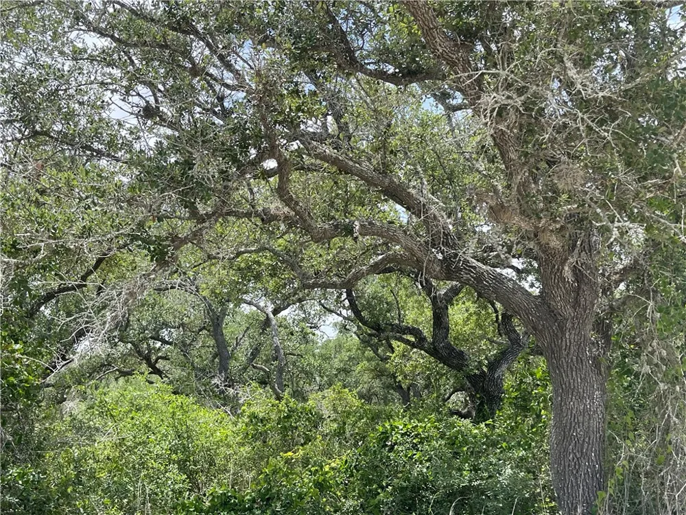 342 Whispering Drive