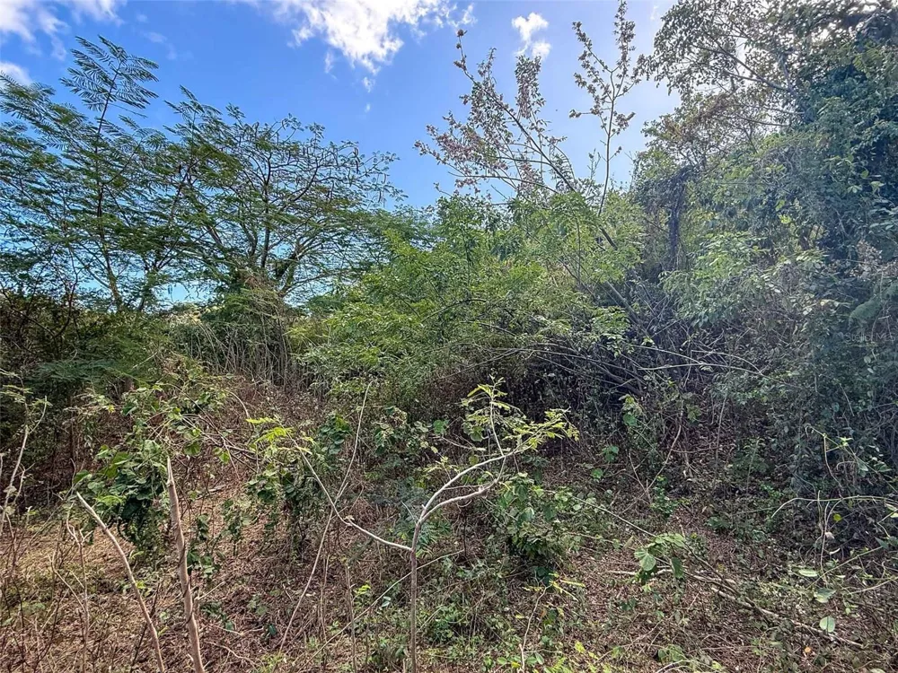 115 CALLE CONDE DE MIRASOL Vieques, PR 00765