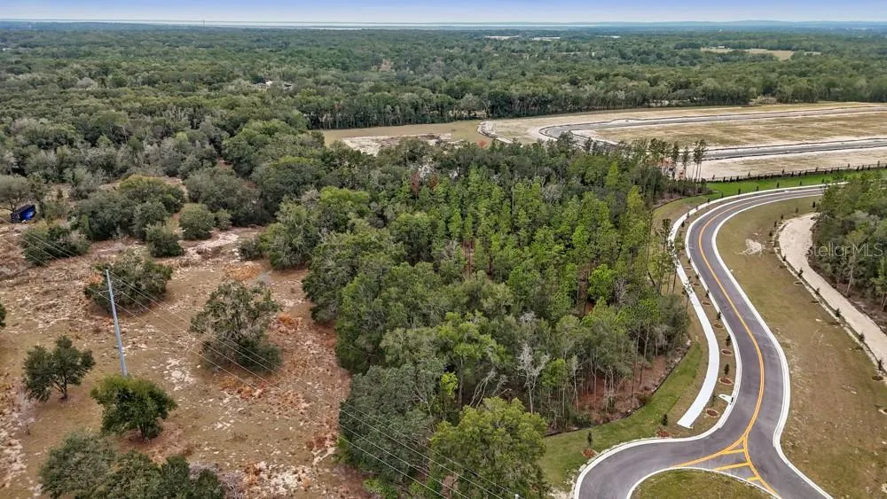 5936 STONEYBROOK HILLS PARKWAY Mount Dora, FL 32757