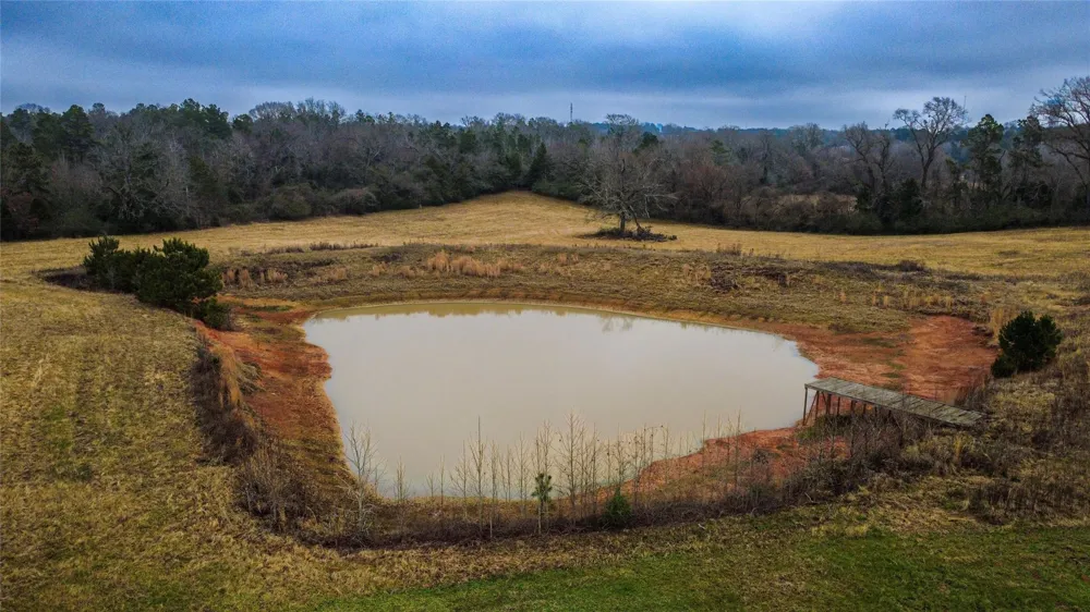 875 An County Road 2150 Palestine, TX 75801