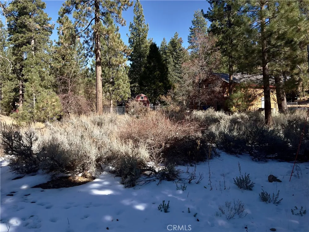 1 Canyon Road Fawnskin, CA 92333