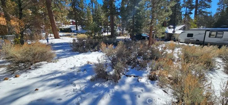 1 Canyon Road Fawnskin, CA 92333
