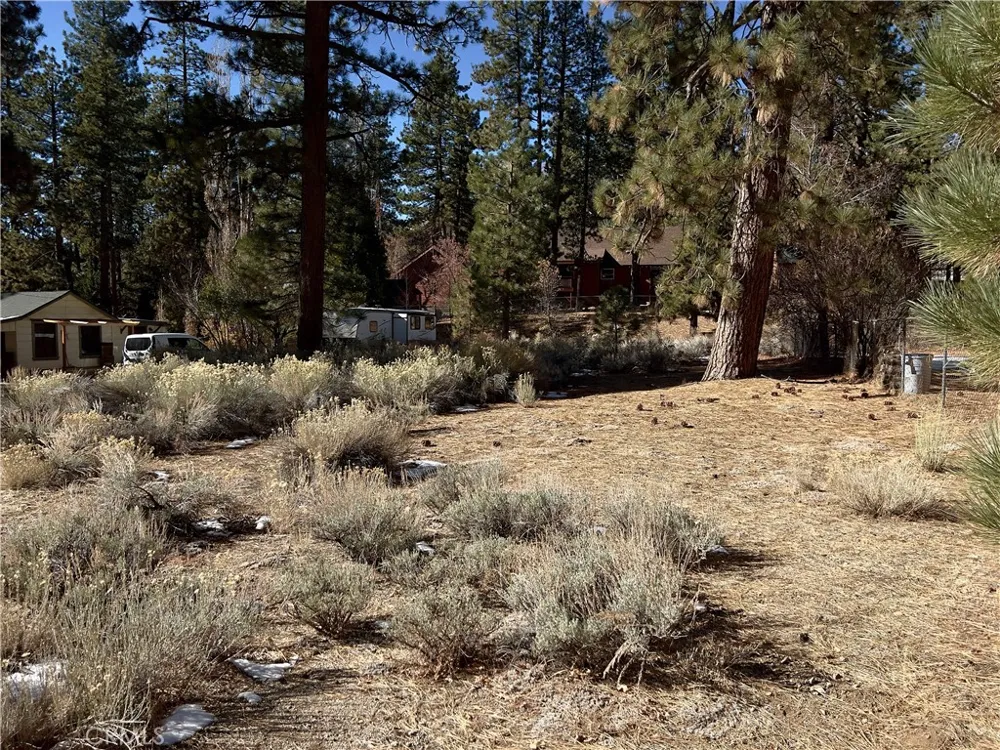 1 Canyon Road Fawnskin, CA 92333
