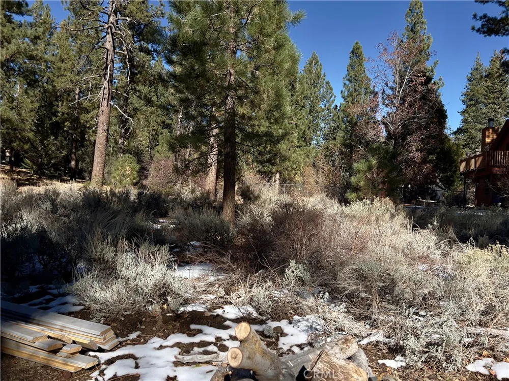 1 Canyon Road Fawnskin, CA 92333