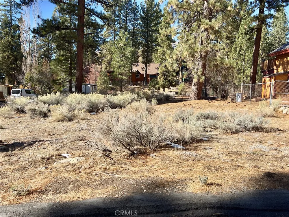 1 Canyon Road Fawnskin, CA 92333