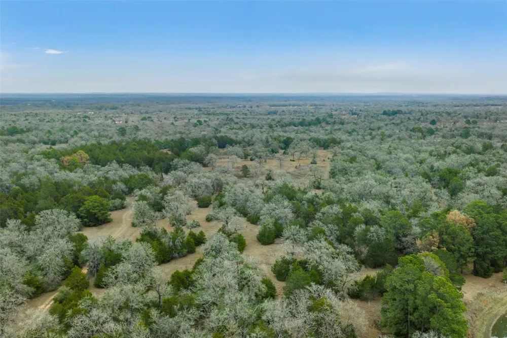 150 Turner Lane Paige, TX 78659