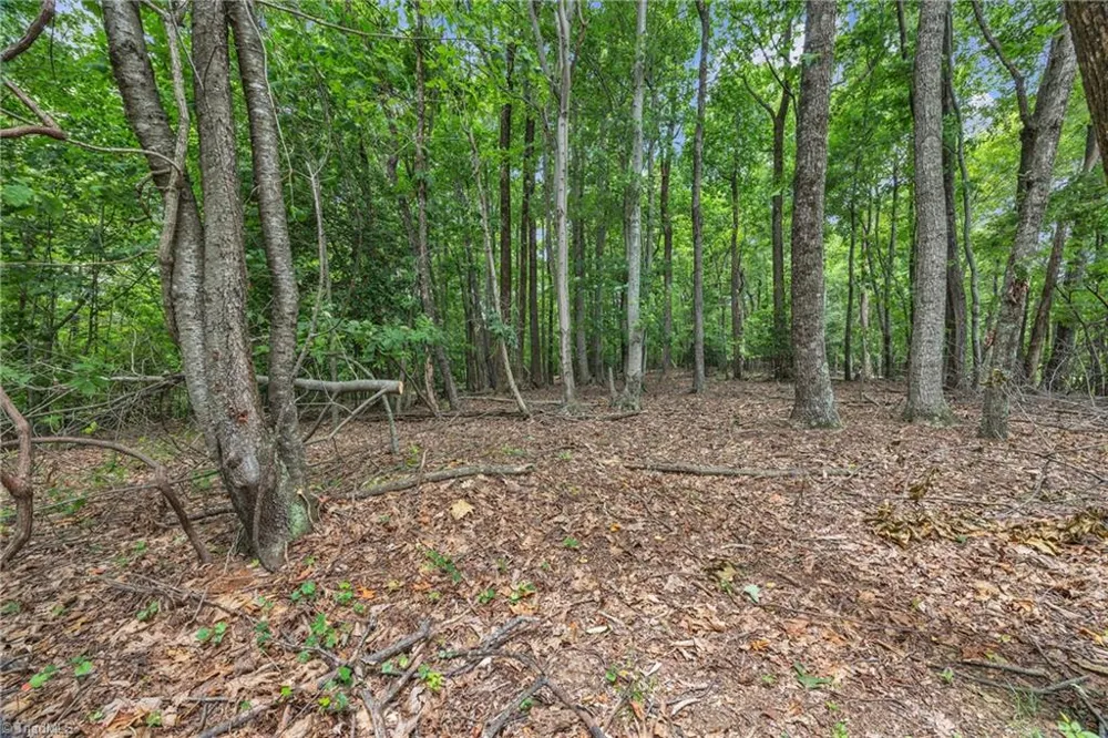 0 Pike Road Moravian Falls, NC 28654