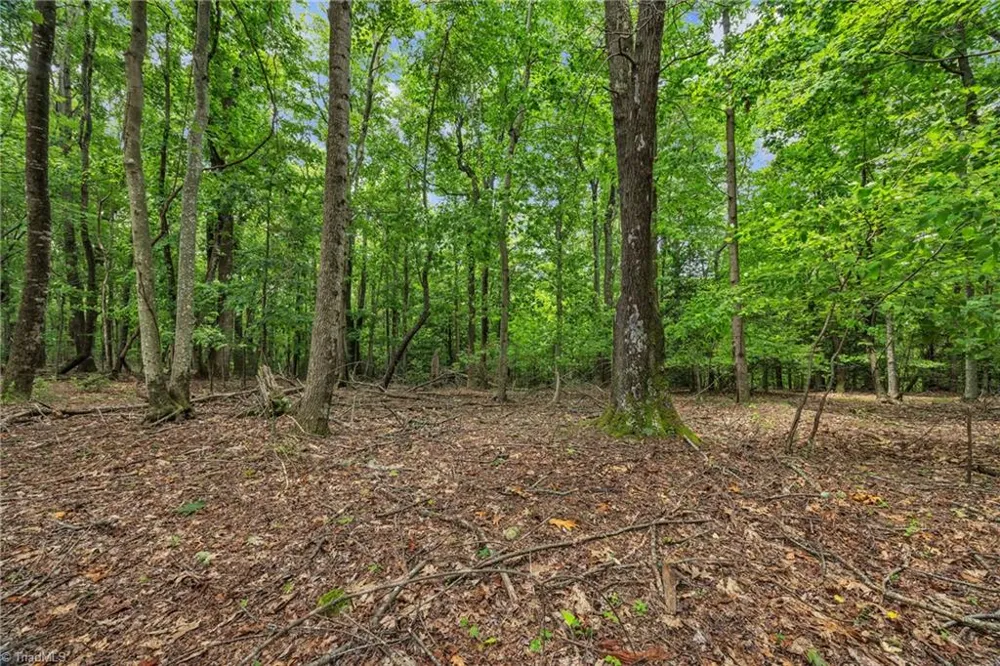 0 Pike Road Moravian Falls, NC 28654