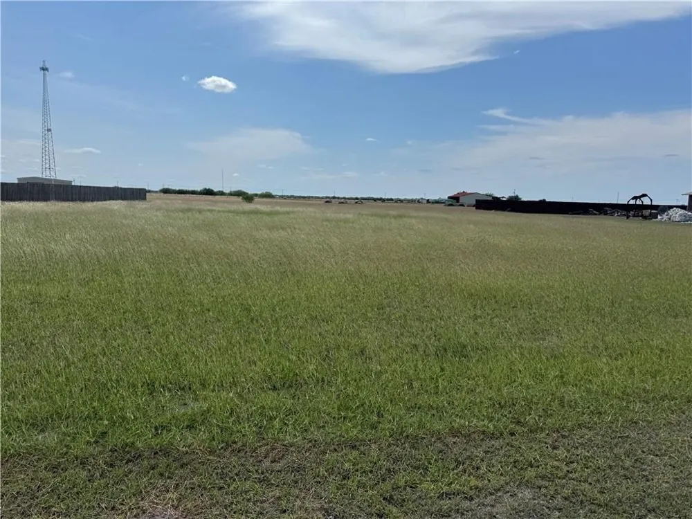 230 Anaqua Drive Orange Grove, TX 78372