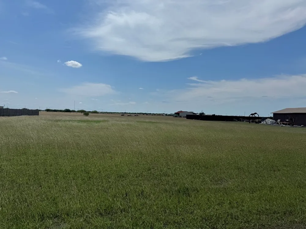 230 Anaqua Drive Orange Grove, TX 78372