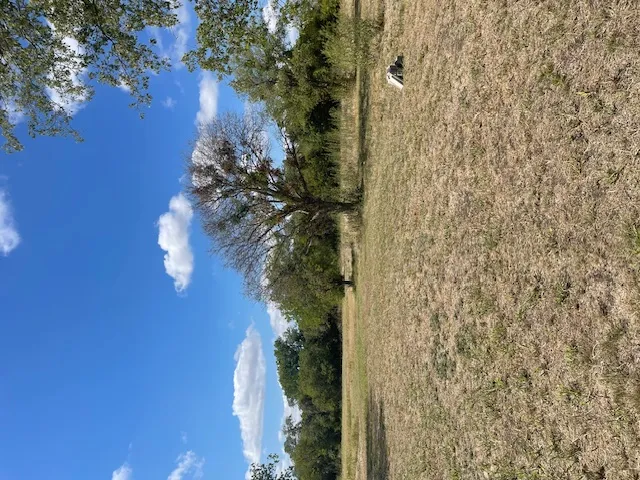 703 4th Street Bruceville Eddy, TX 76524