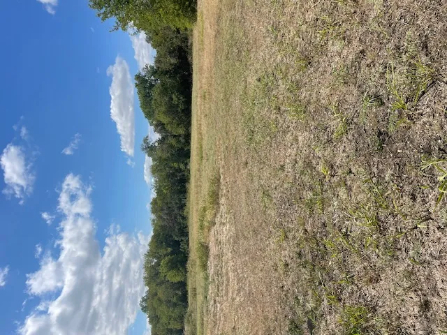 703 4th Street Bruceville Eddy, TX 76524