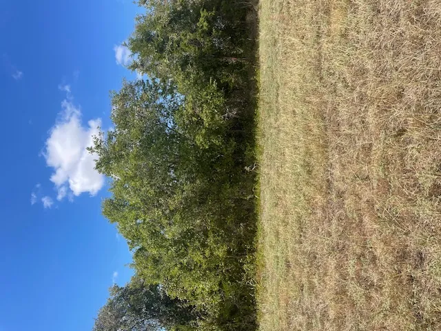 703 4th Street Bruceville Eddy, TX 76524