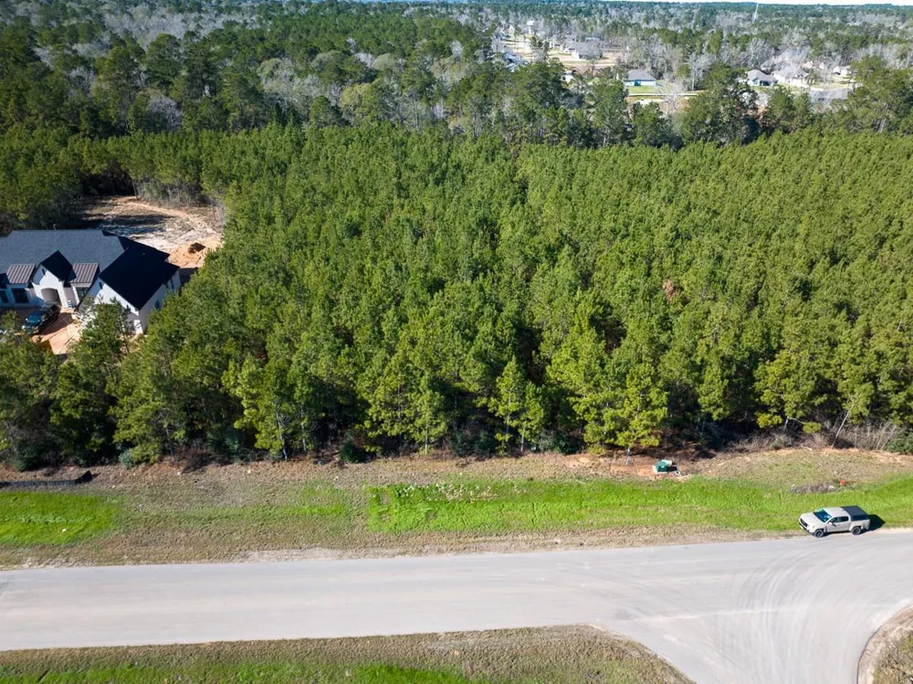 15715 Ridge Rock Road Willis, TX 77378
