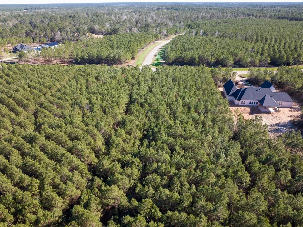 15715 Ridge Rock Road Willis, TX 77378