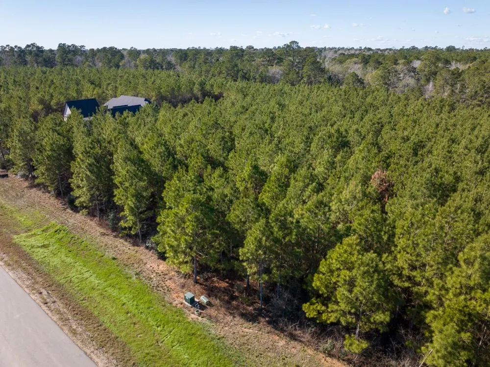 15715 Ridge Rock Road Willis, TX 77378
