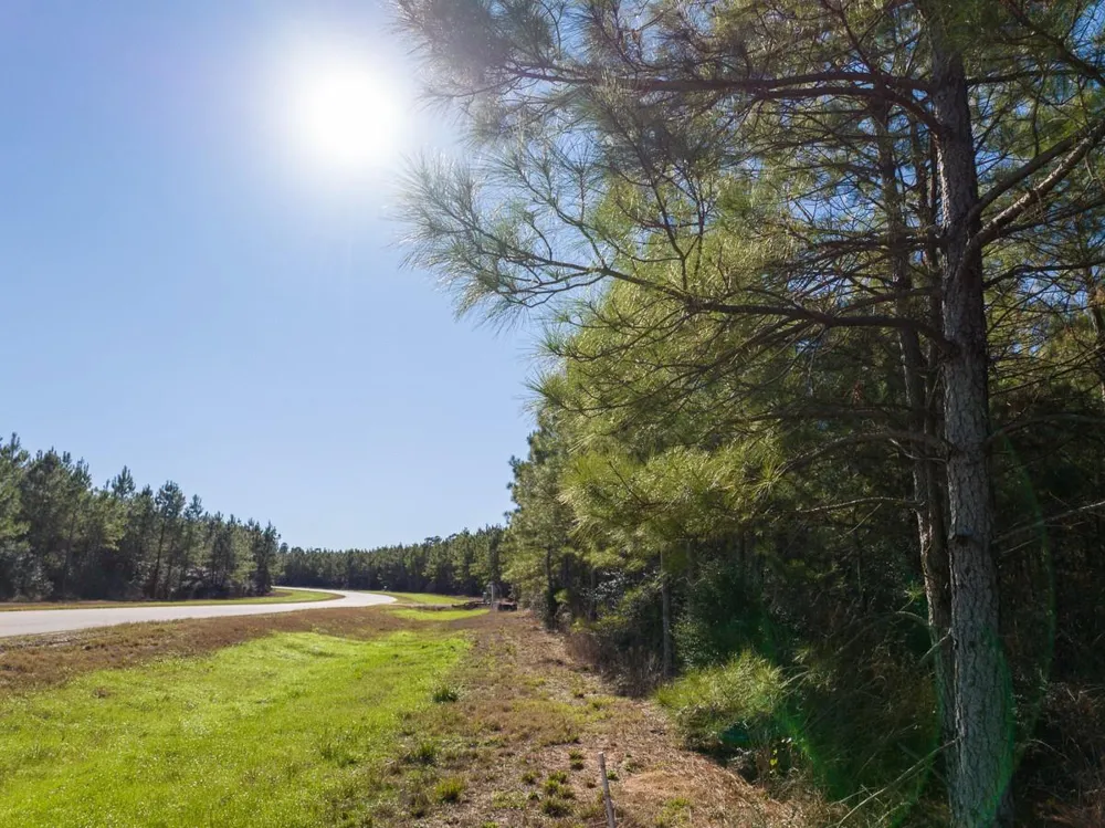 15715 Ridge Rock Road Willis, TX 77378
