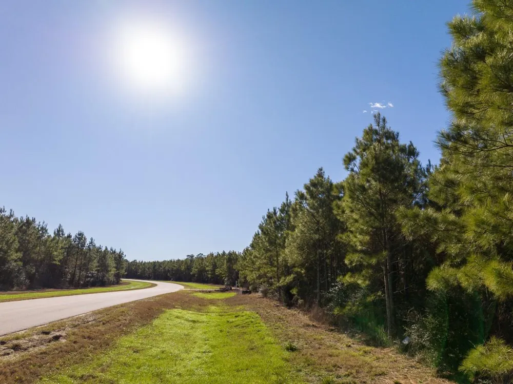 15715 Ridge Rock Road Willis, TX 77378