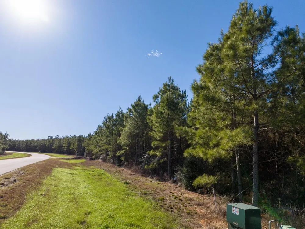15715 Ridge Rock Road Willis, TX 77378