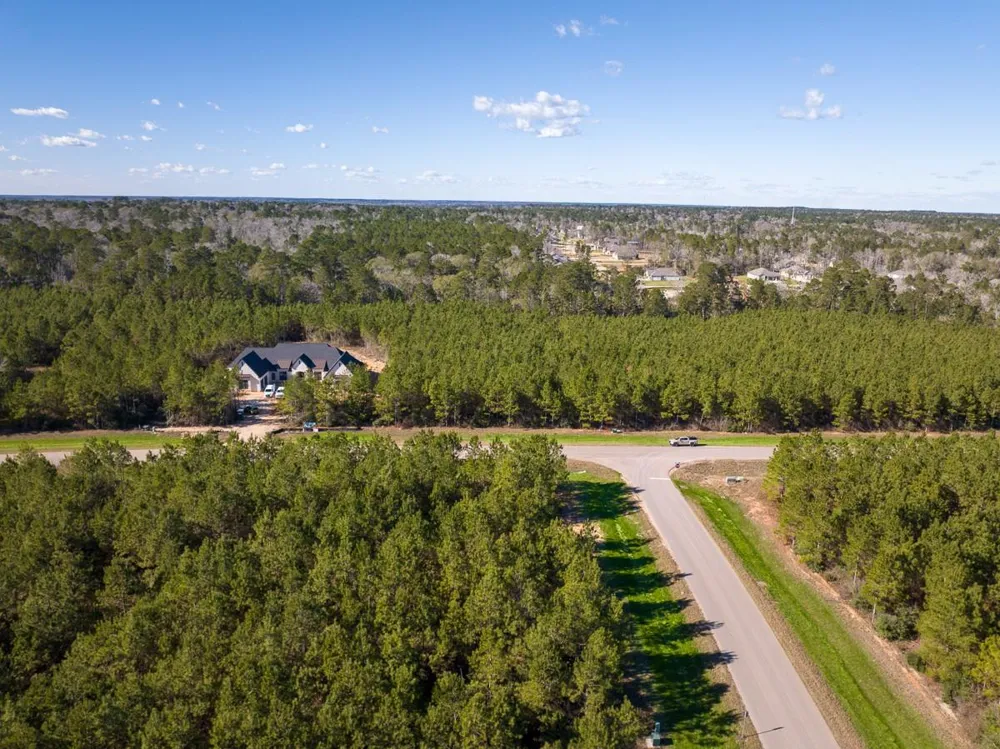 15715 Ridge Rock Road Willis, TX 77378