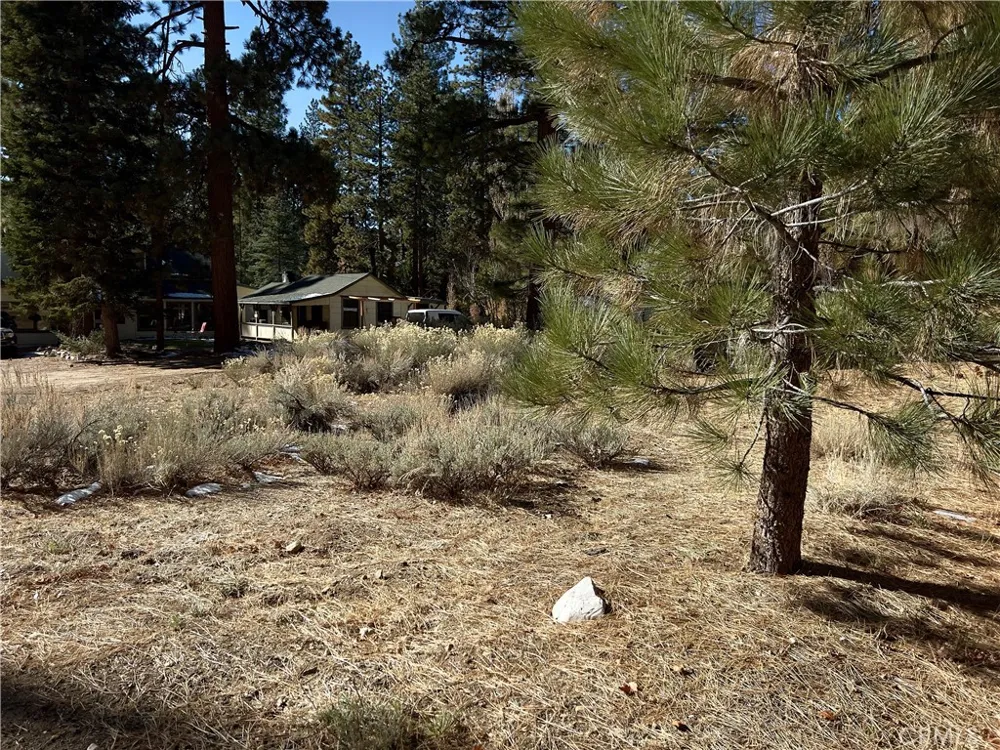 Canyon Road Fawnskin, CA 92333
