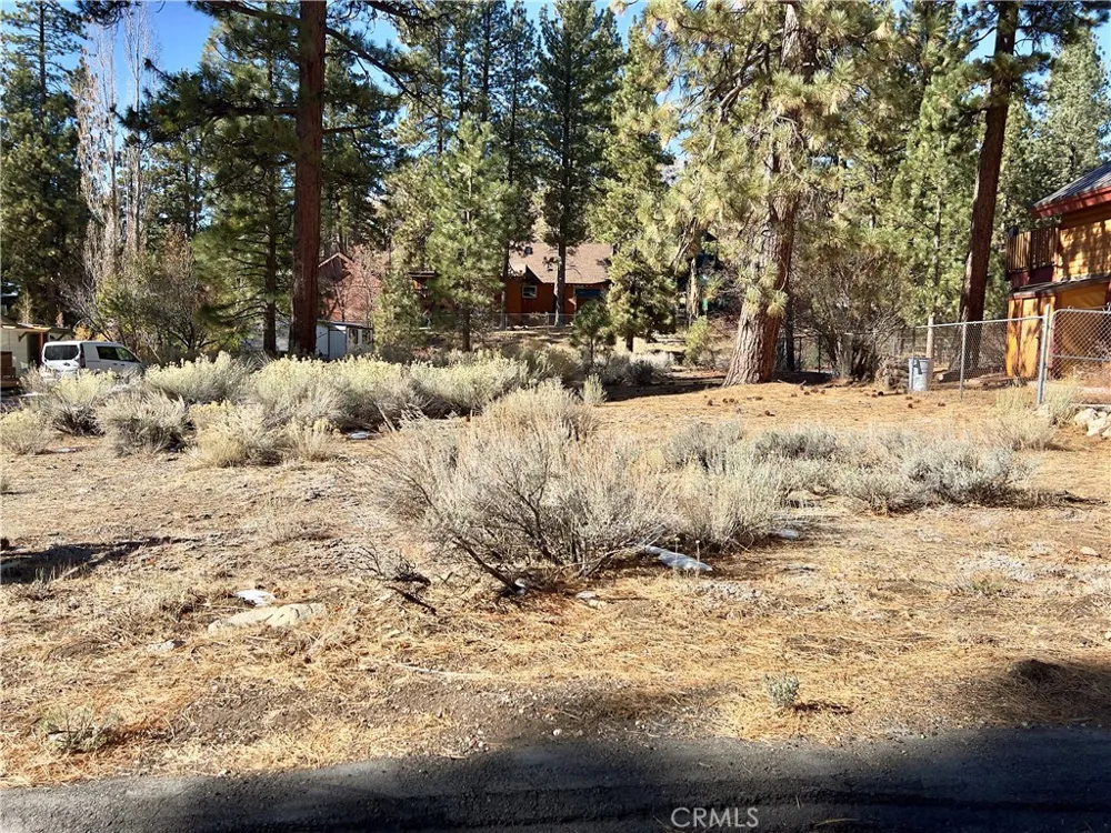 Canyon Road Fawnskin, CA 92333