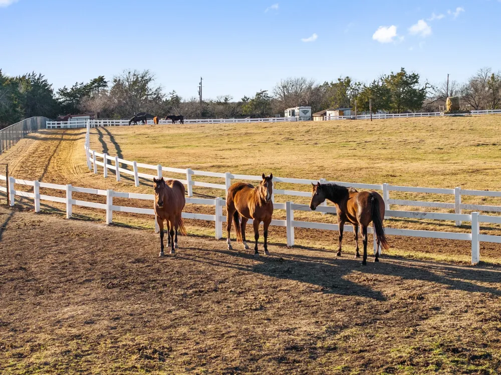 1715 S Joe Wilson Road Ovilla, TX 75104