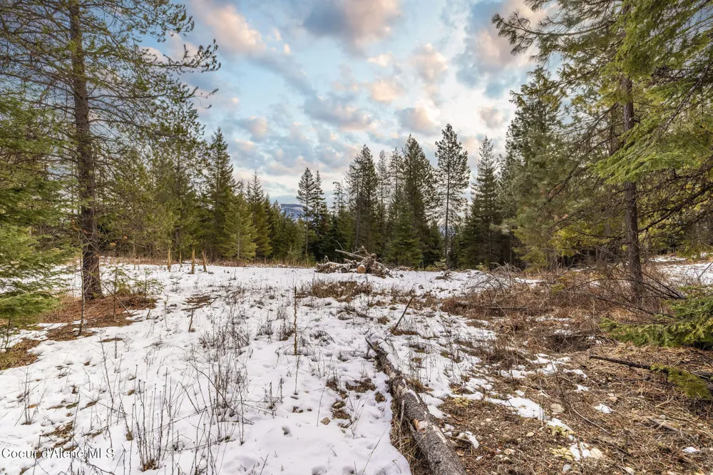 Lot 41 Highway 57 Priest River, ID 83856