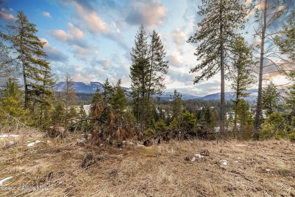 Lot 41 Highway 57 Priest River, ID 83856