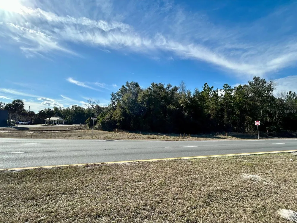 TBD US HWY 19 (N YOUNG BLVD) Chiefland, FL 32626
