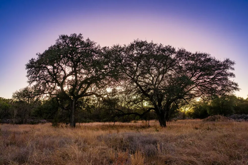 FM 1047 Lometa, TX 76853