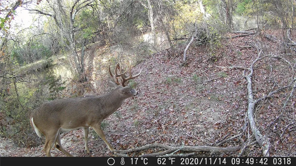 FM 1047 Lometa, TX 76853