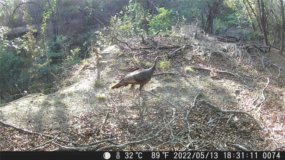 FM 1047 Lometa, TX 76853