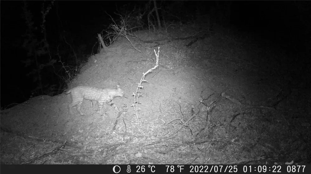 FM 1047 Lometa, TX 76853