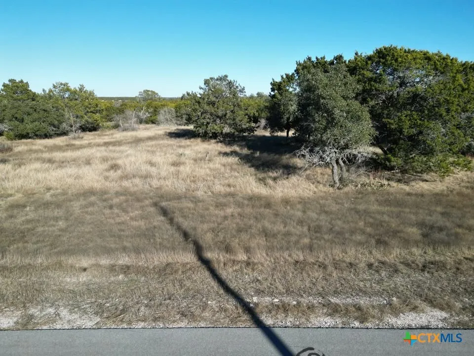 29 Riparian Elm Road Bertram, TX 78605