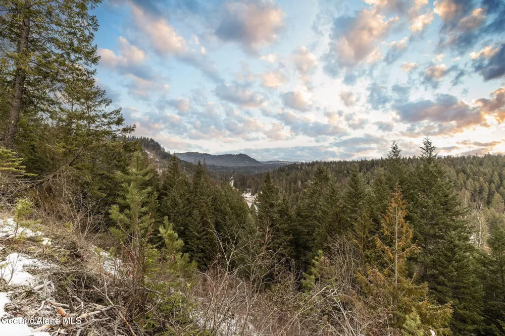 Lot 4 Highway 57 Priest River, ID 83856