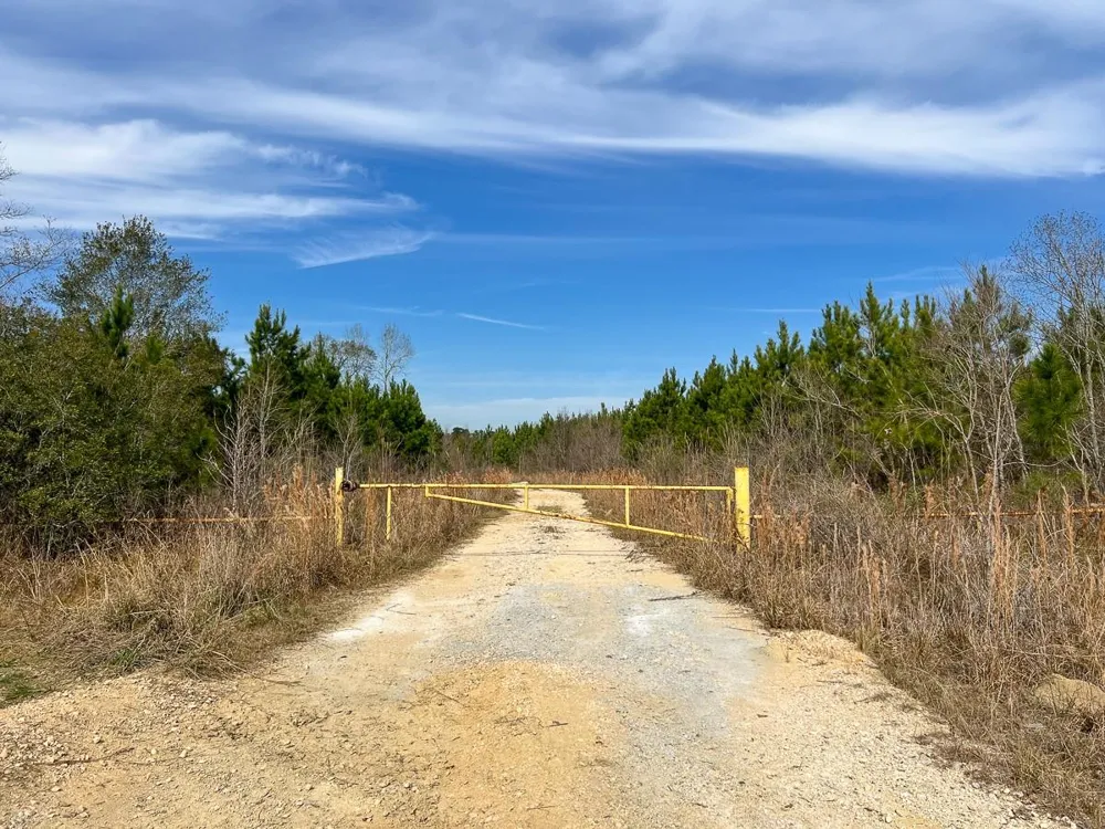 3 Hwy 1131 Vidor, TX 77662