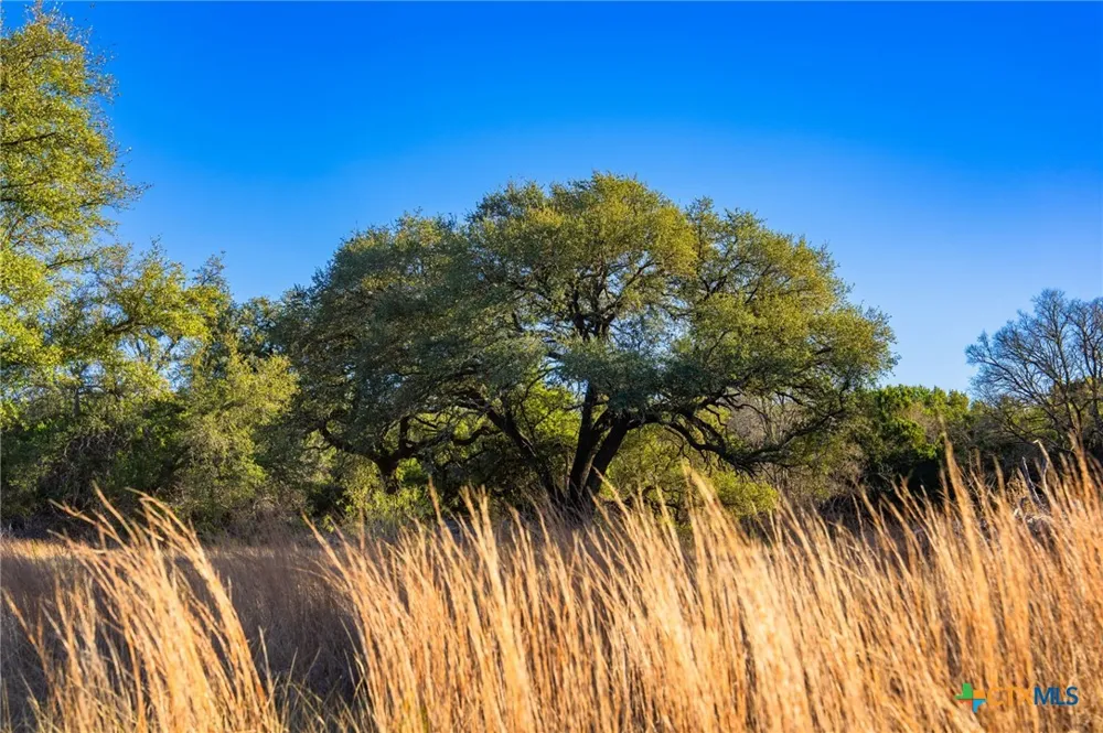 Farm to Market Rd 1047 Lometa, TX 76853