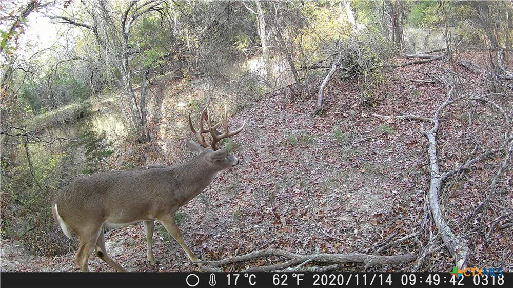 Farm to Market Rd 1047 Lometa, TX 76853