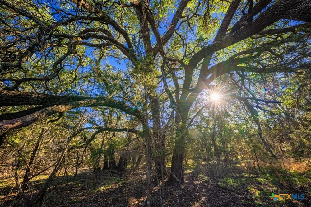 Farm to Market Rd 1047 Lometa, TX 76853