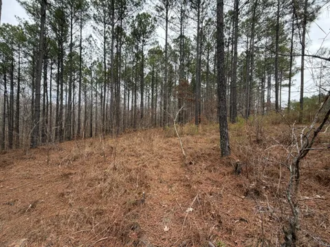 1B Bartlett Rd