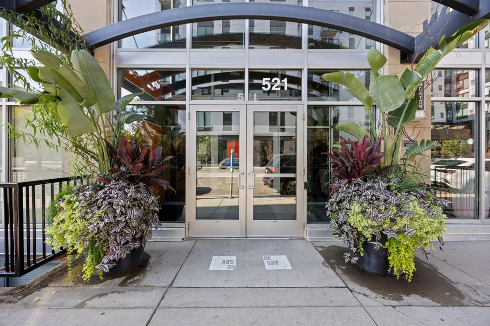 521 S 7th Street #223