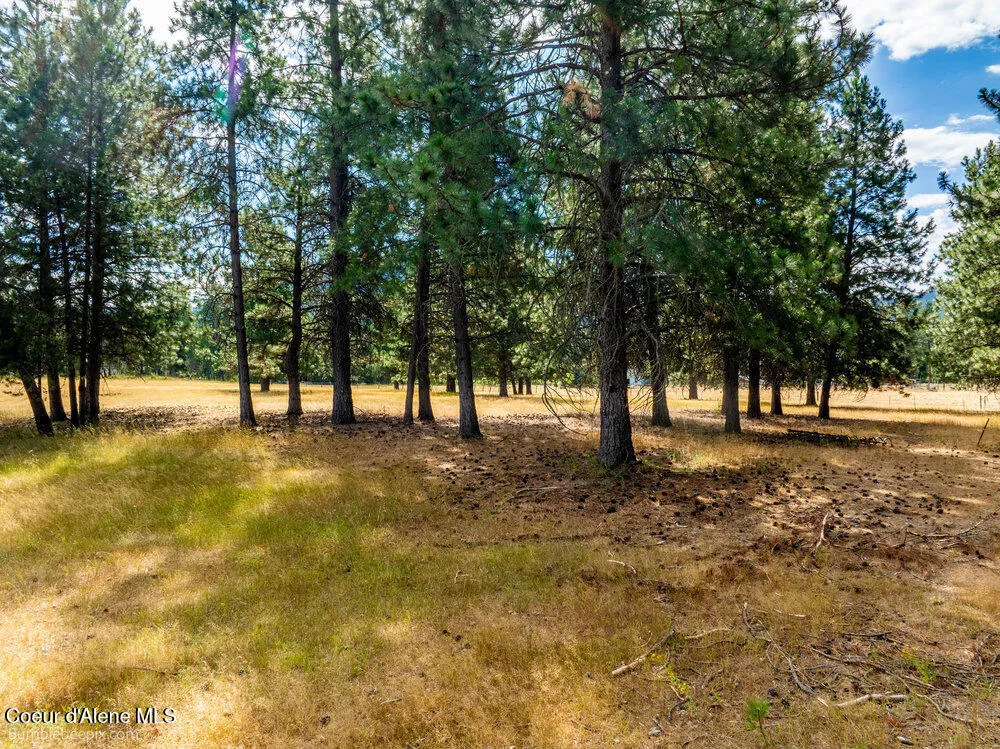 NKA Bunco Rd Lot 2 Athol, ID 83801