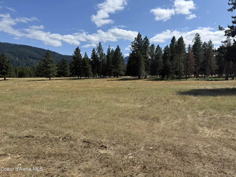 NKA Bunco Rd Lot 2 Athol, ID 83801