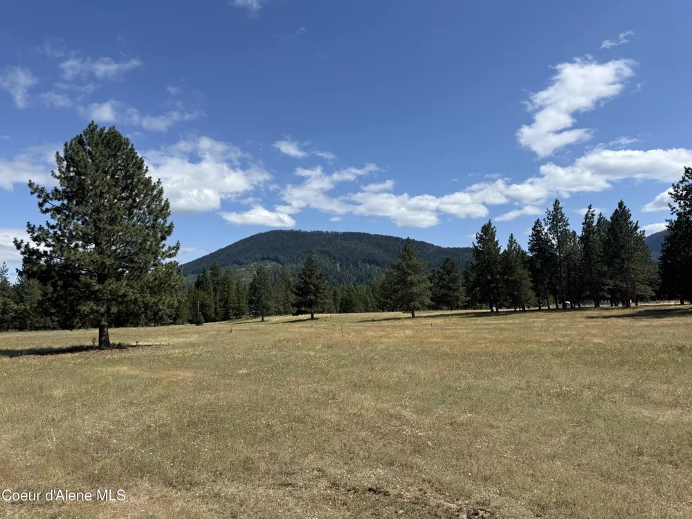 NKA Bunco Rd Lot 2 Athol, ID 83801