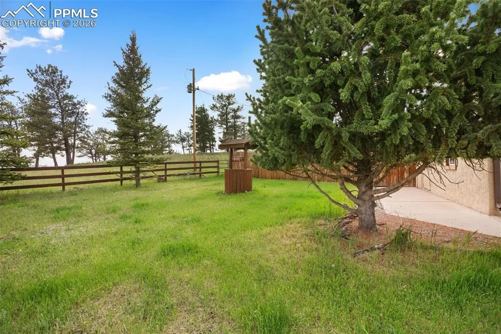 13599 County Road 1 Florissant, CO 80816